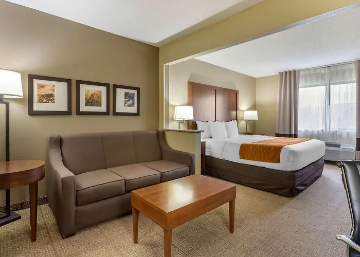 Comfort - Quad Cities Hotel