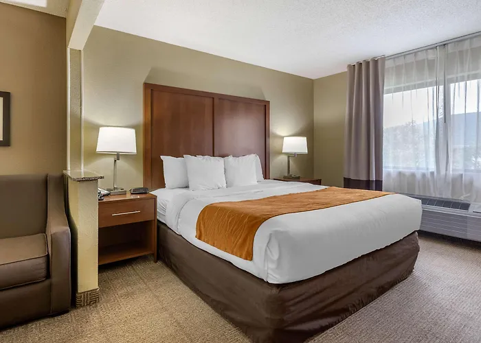 Comfort - Quad Cities Moline