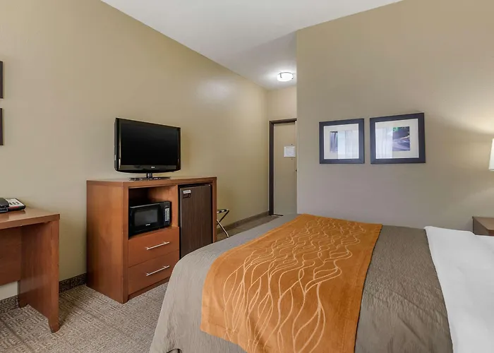 Comfort - Quad Cities