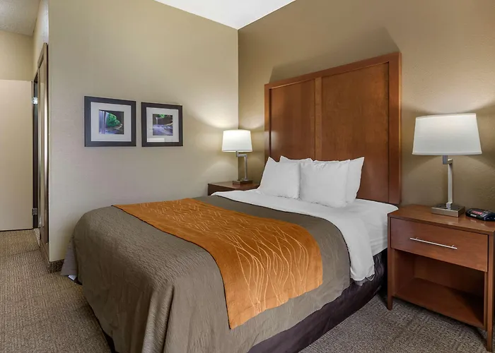 Hotel Comfort - Quad Cities 3*