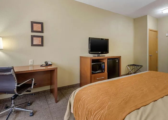 Comfort - Quad Cities
