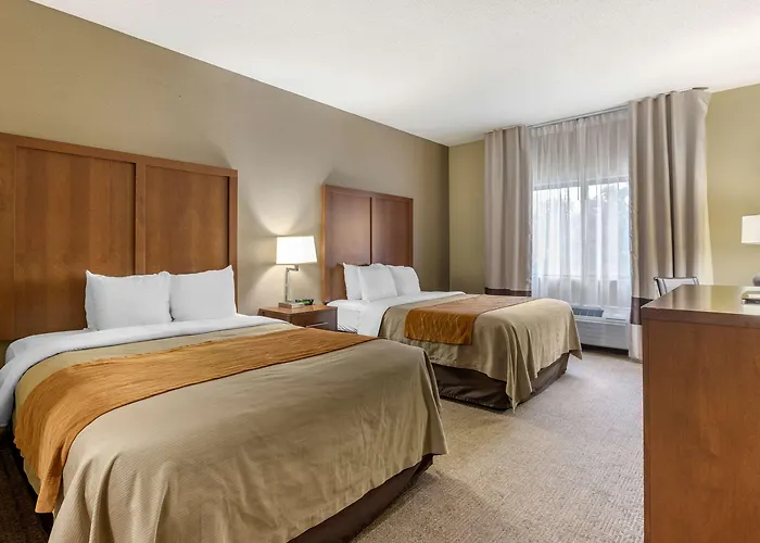 Comfort - Quad Cities Moline