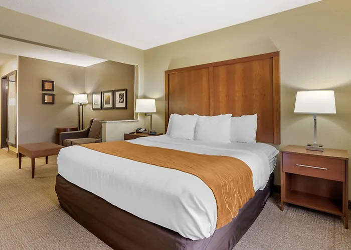Comfort - Quad Cities Moline