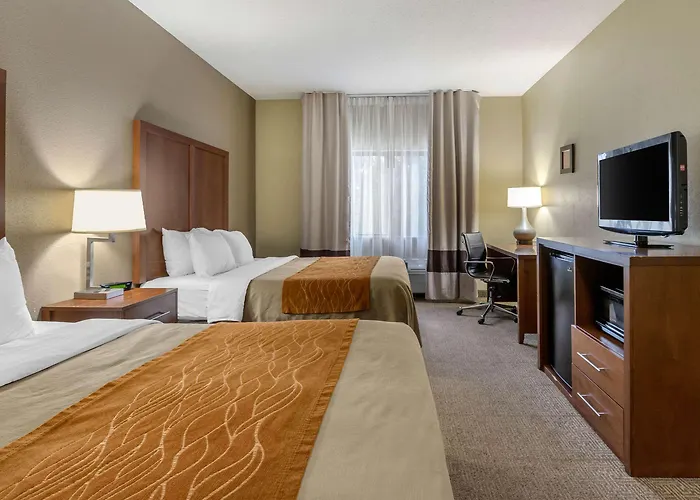Comfort - Quad Cities Hotel