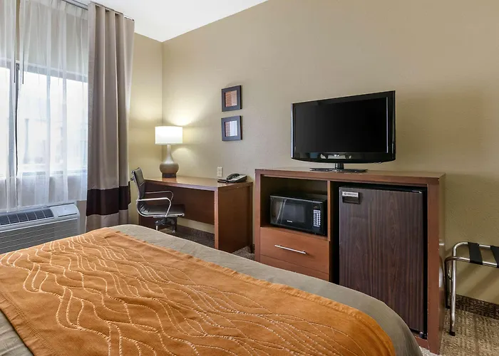 Comfort - Quad Cities Hotel
