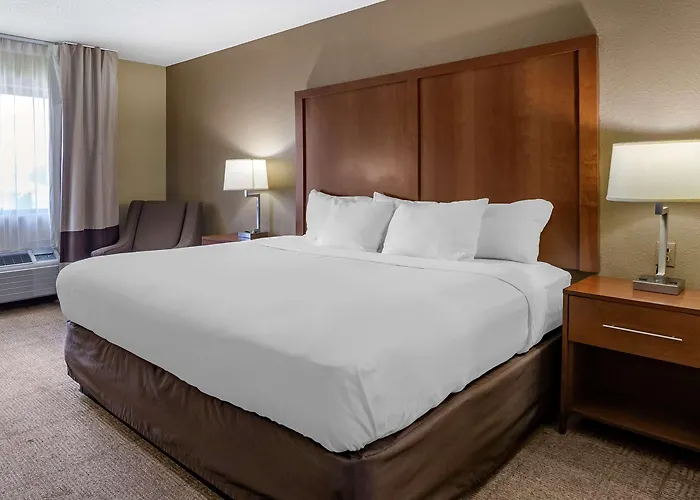 Hotel Comfort - Quad Cities Moline