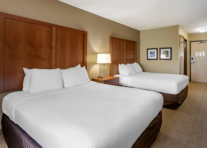 Comfort - Quad Cities Hotel Moline