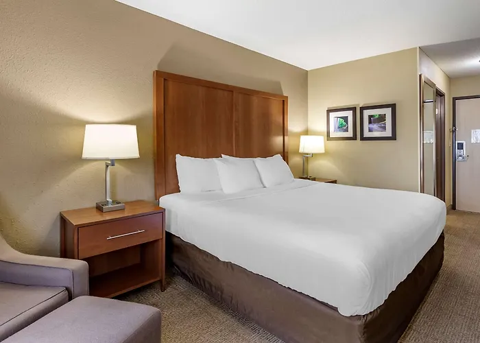 Comfort - Quad Cities Hotel