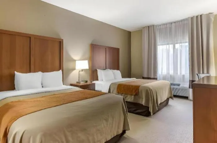 Comfort - Quad Cities Moline