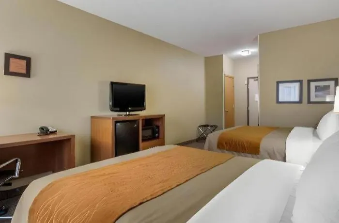 Comfort - Quad Cities Hotel