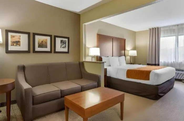 Comfort - Quad Cities Moline