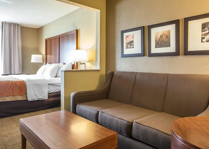 Comfort - Quad Cities Hotel